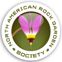 North American Rock Garden Society logo